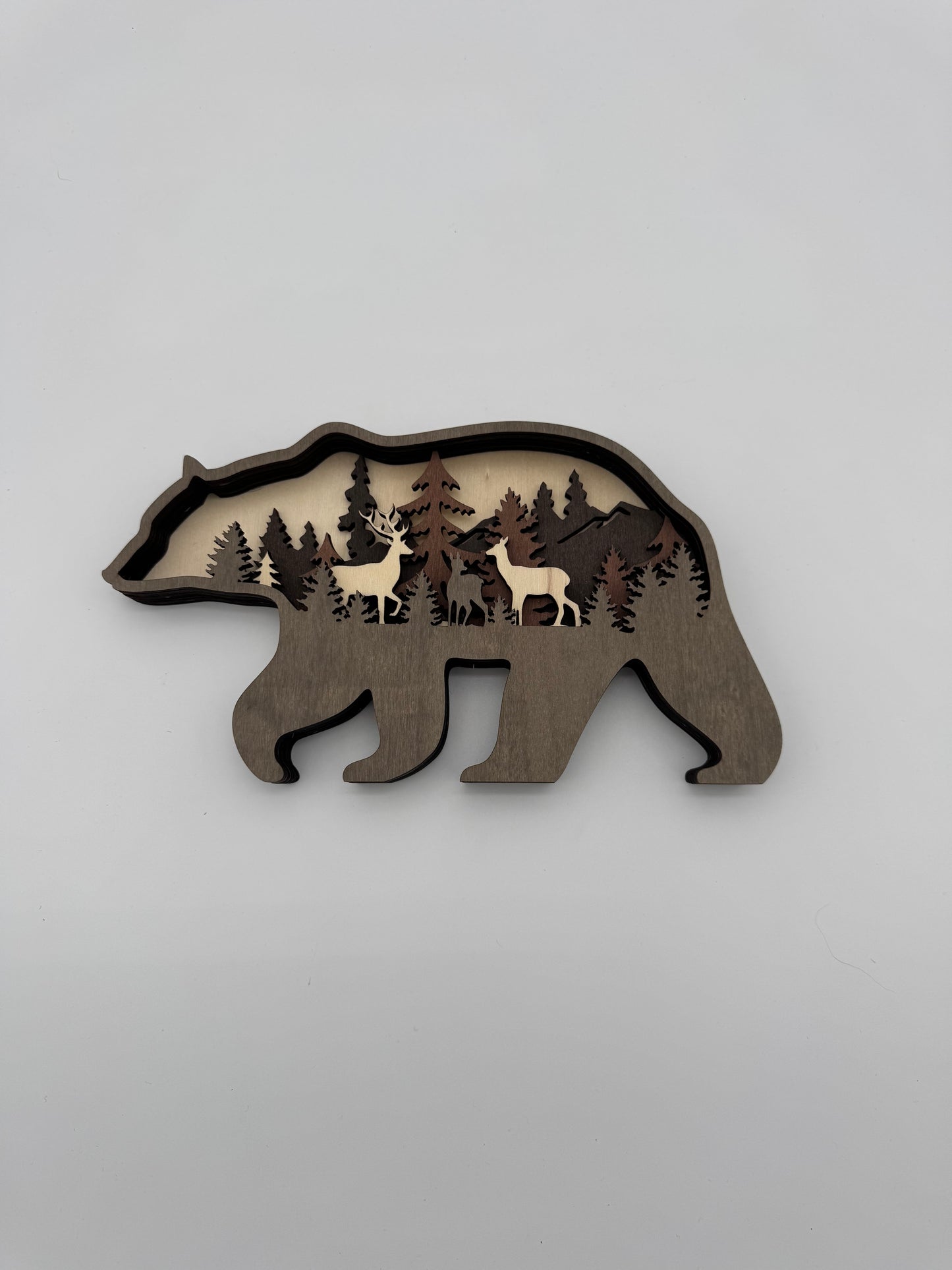 Bear M-01