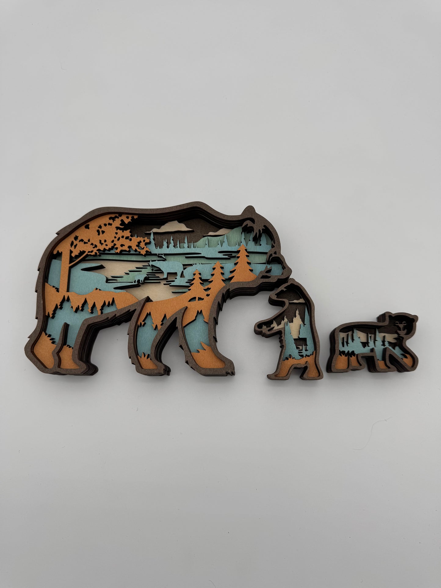 Bear Family M-23