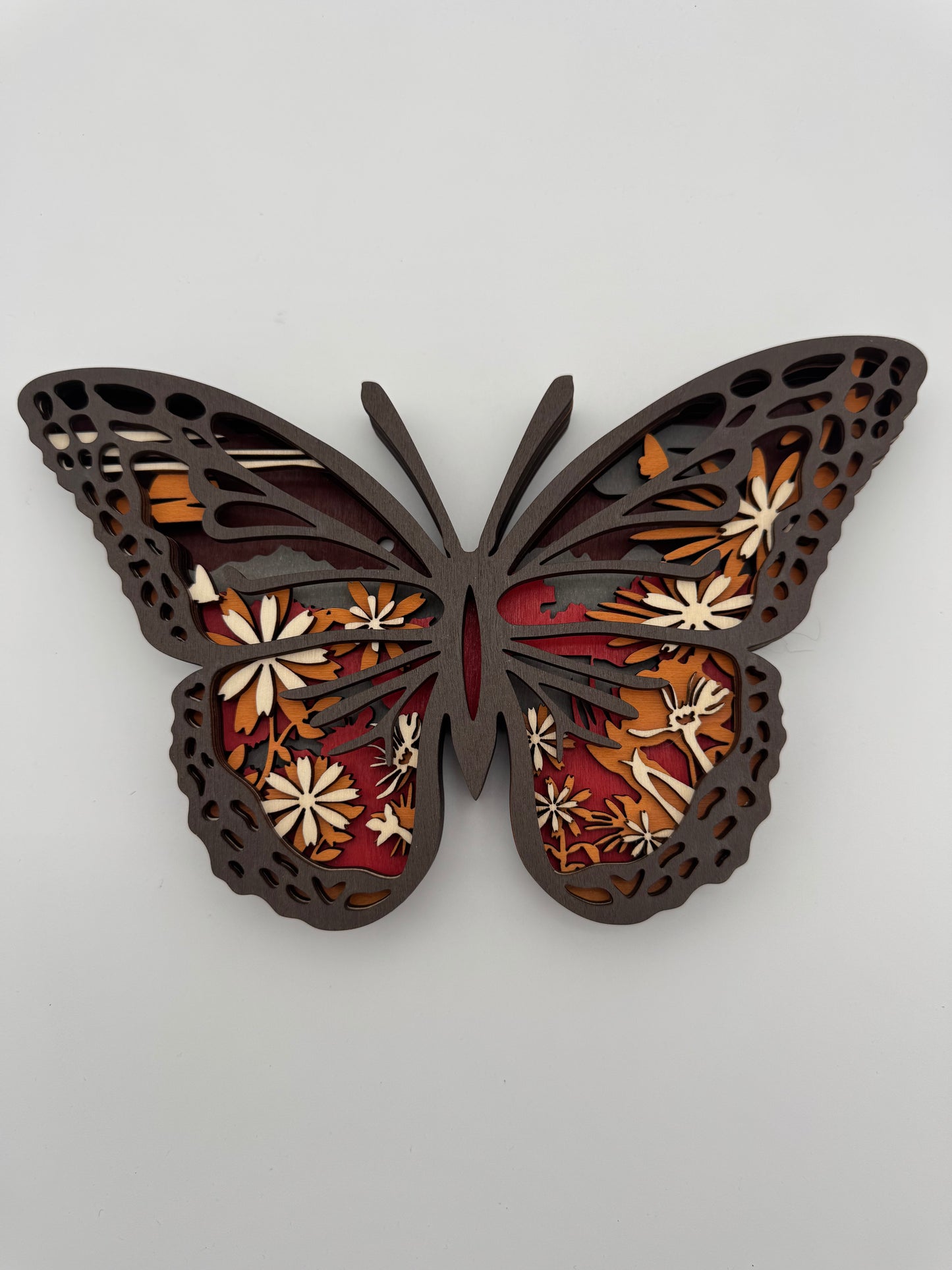 Monarch Butterfly M-13